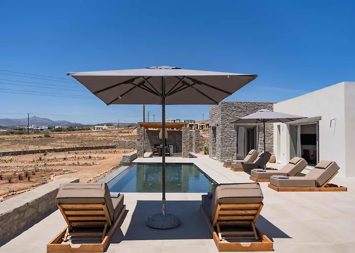 Phoenix With Private Pool & Sea Views Near Naousa Villa