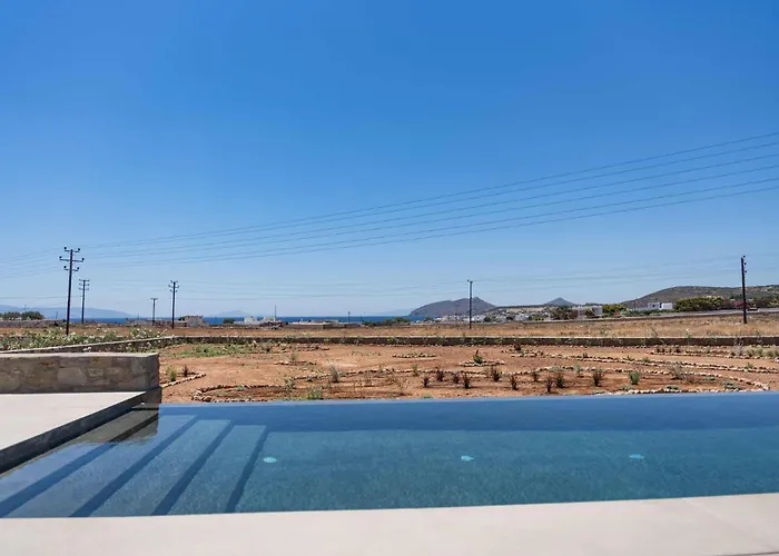 Phoenix With Private Pool & Sea Views Near Naousa Villa Ambelas