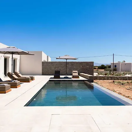 Vila Phoenix With Private Pool & Sea Views Near Naousa *